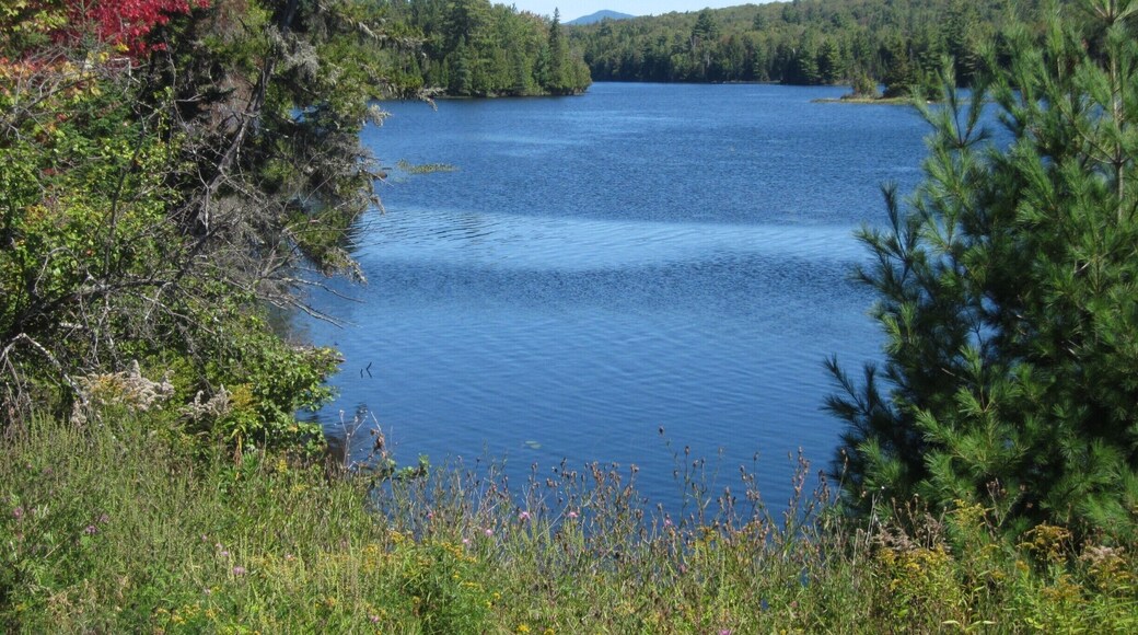 On the road to a friend's house in upstate NY, we stopped to snap this lovely view of Indian Lake.