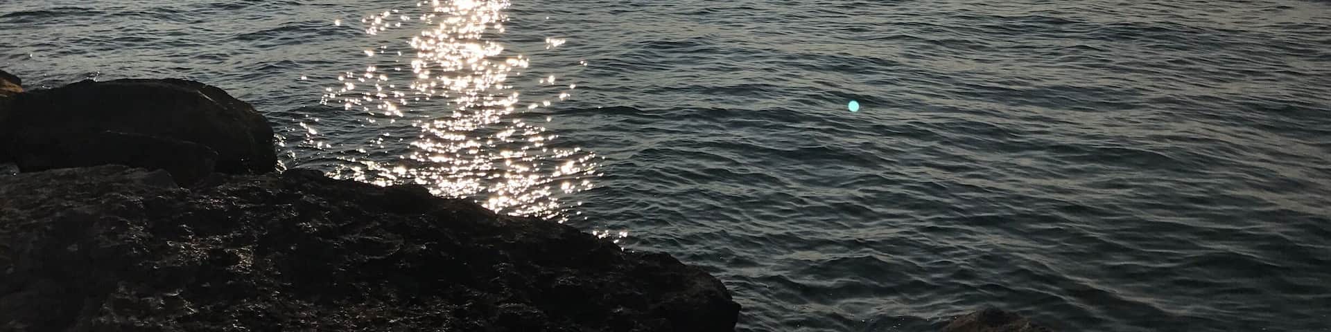This is such a wonderful spot people tend to forget about. Quiet beach with a great view of the lake. #AquaTrove