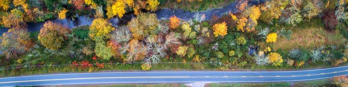 Aerial shot of fall foliage somewhere near Jeffersonville, New York, USA