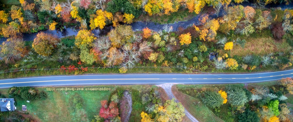 An aerial view of a road through a forest with autumn foliage.