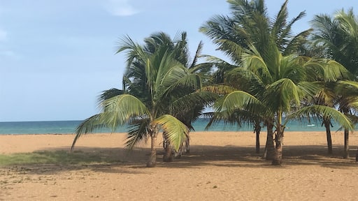 Wonderful hotel. Friendly owners.