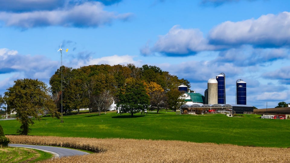 A rural landscape with a windmill, a silo, and a barn.
