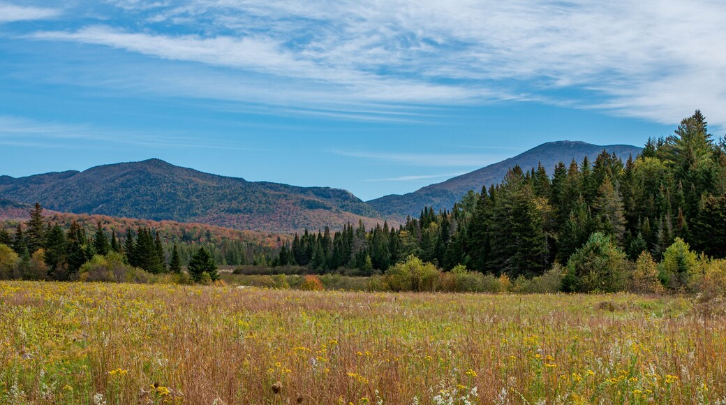 Fall foliage in the Adirondack Mountains