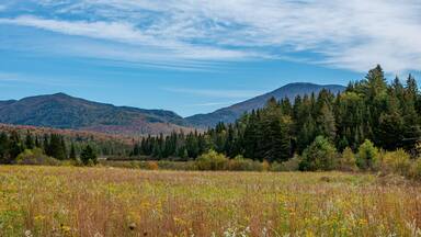 Fall foliage in the Adirondack Mountains