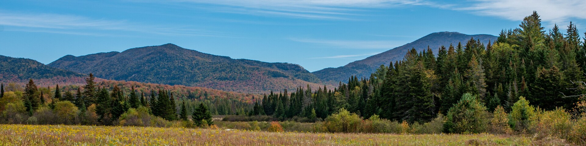 Fall foliage in the Adirondack Mountains