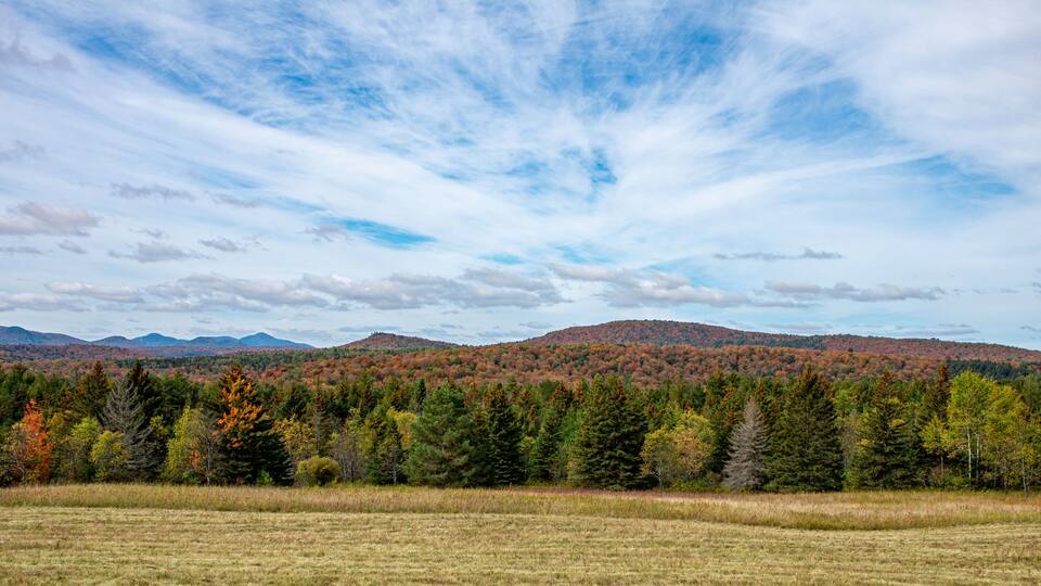 A landscape with autumn-colored trees, a grassy field, and distant mountains under a partly cloudy sky.