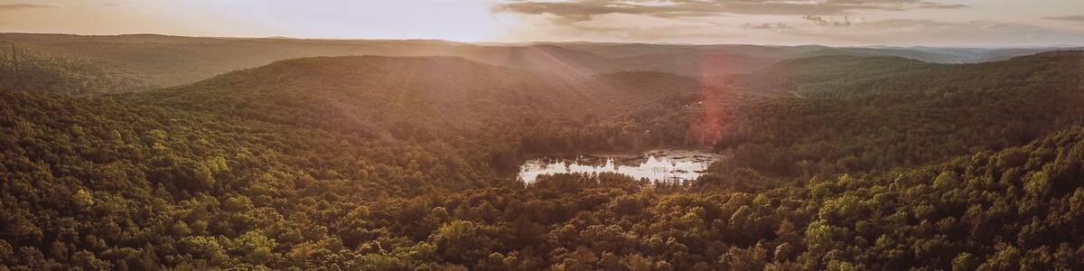 Narrowsburg New York