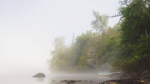 Foggy Lake Harris
#lake #lakeharris #adirondacks #foggy #morning #camping