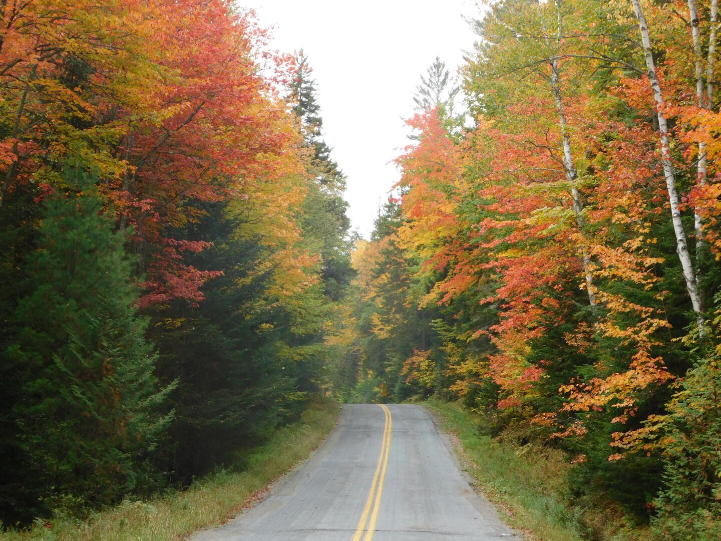 Road to the abandoned mining town of Tahawus in the Adirondacks. The leaves on the trees are in their beautiful autumn colors. #nature