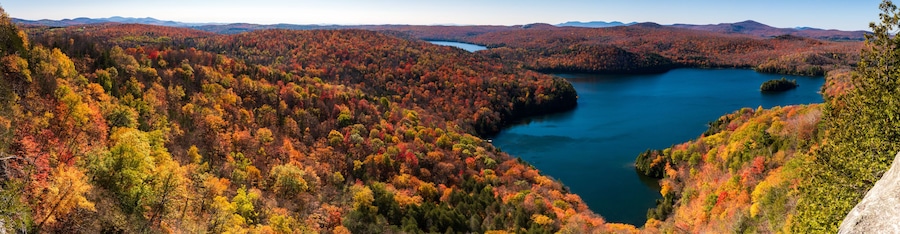 Panoramic view of the forest at Nichol's Ledge by a sunny fall day