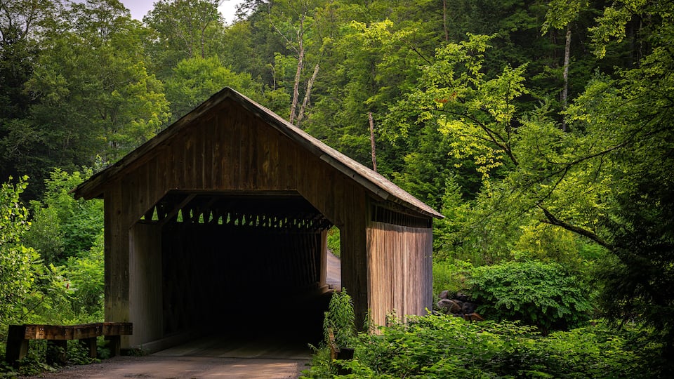 A wooden covered bridge in a forest.