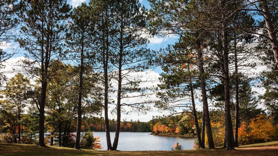 A lake surrounded by tall trees with autumn foliage.