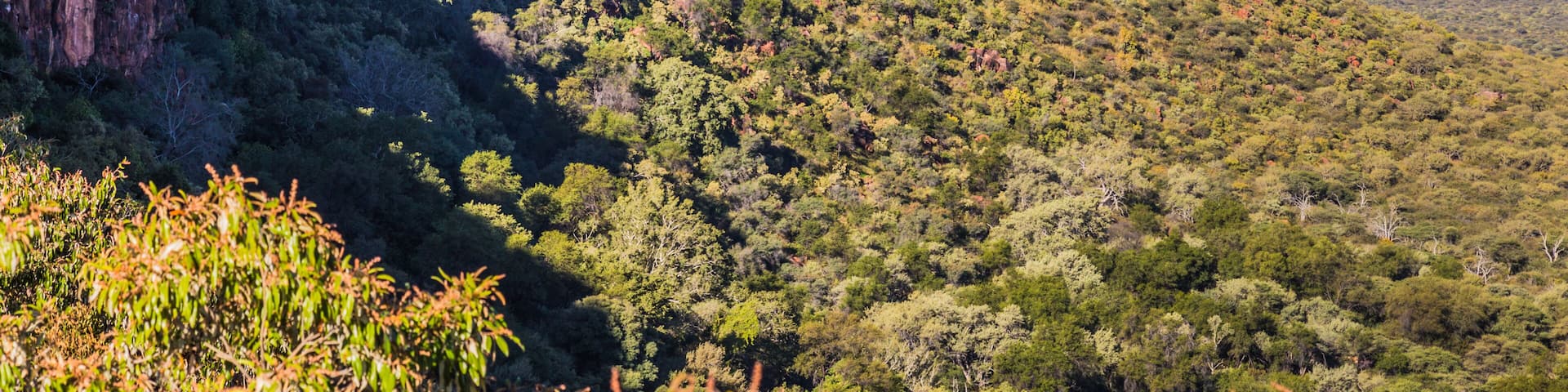 Waterberg plateau, Namibia