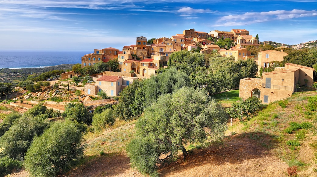 Pigna