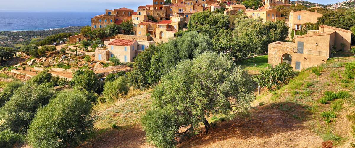 A coastal village with terracotta-roofed buildings, olive groves, and a view of the sea.