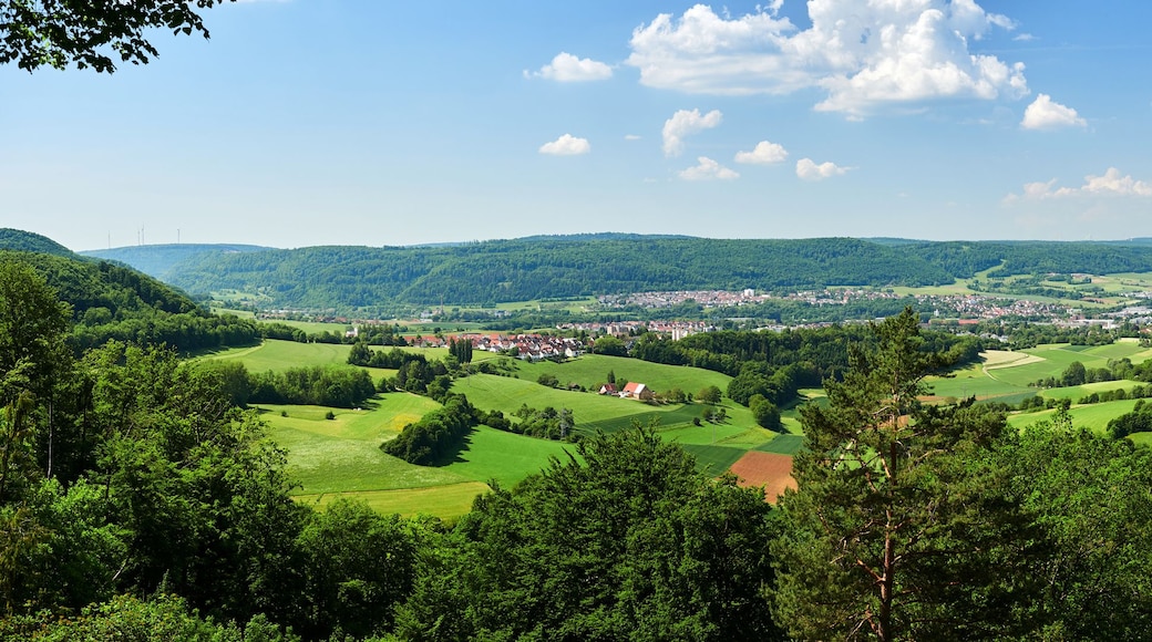 A panoramic view of a town nestled in a valley with surrounding hills and greenery.