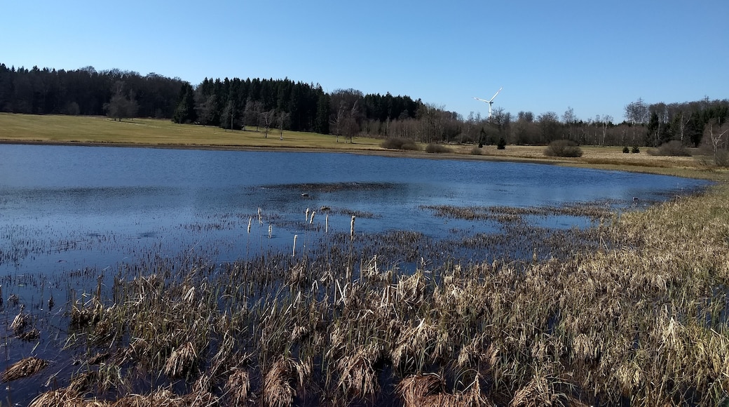 Der Moorsee in den Weiherwiesen in Tauchenweiler bei Essingen