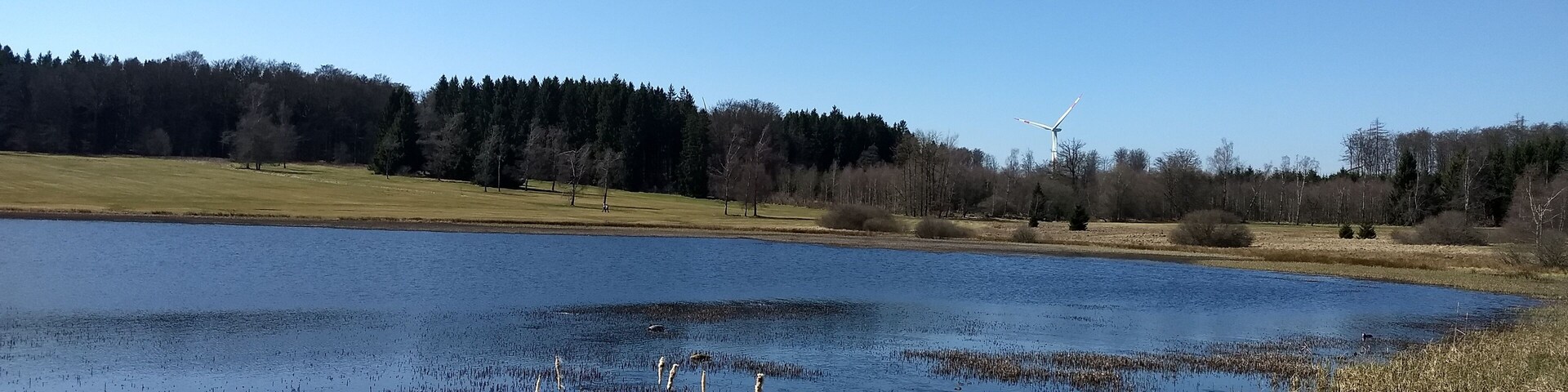 Der Moorsee in den Weiherwiesen in Tauchenweiler bei Essingen