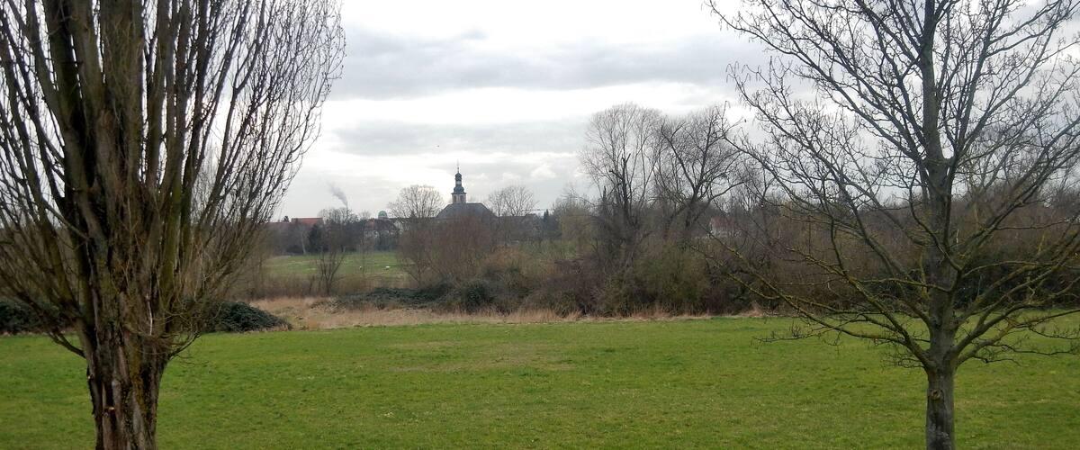 A grassy field with leafless trees and a distant building with a dome and spire.