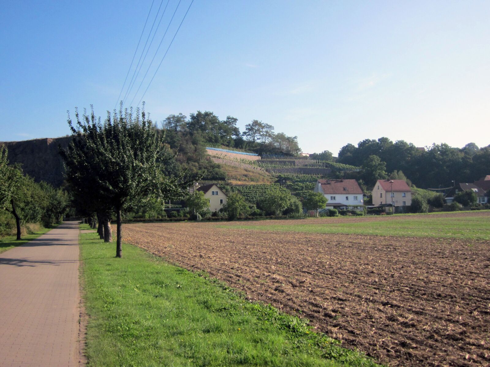 Elbe landscape with vineyards behind the houses. Kleinzadel. Sachsen, Germany.