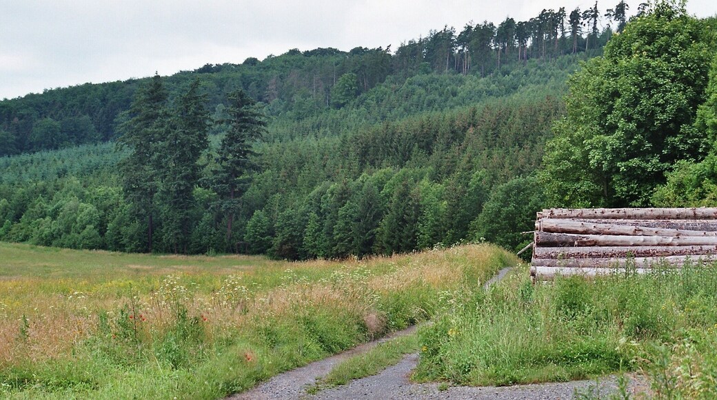 Rammelburg (Mansfeld), the valley of the Wipper