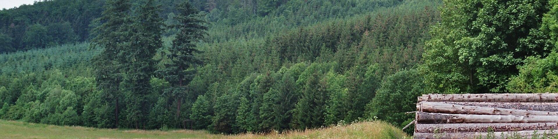 Rammelburg (Mansfeld), the valley of the Wipper