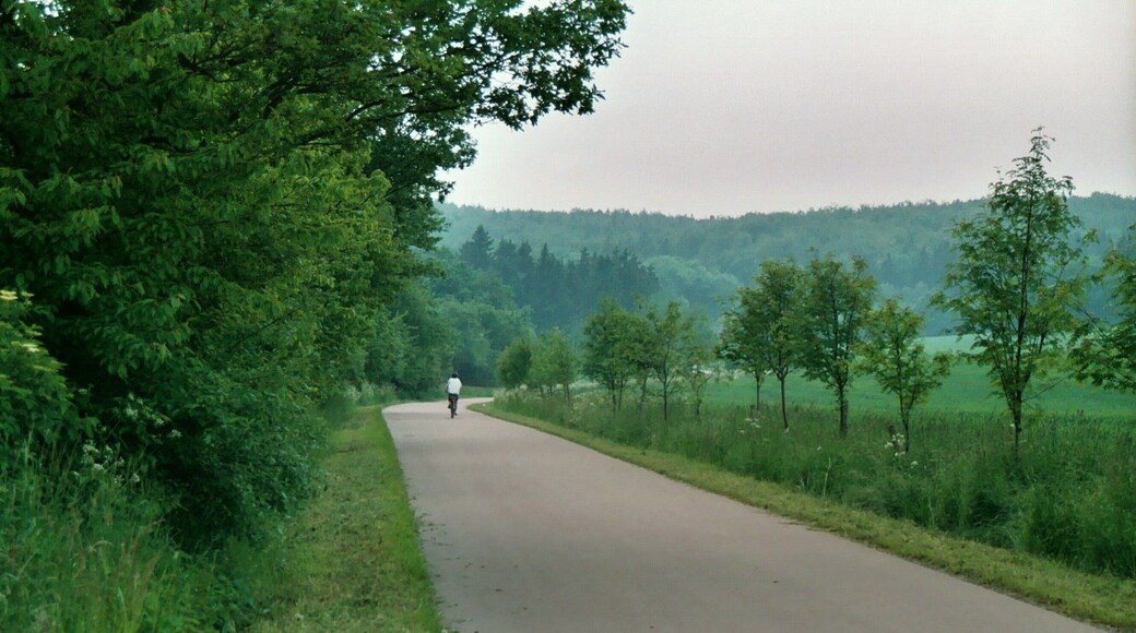 Gorenzen (Mansfeld), landscape to the west of the village