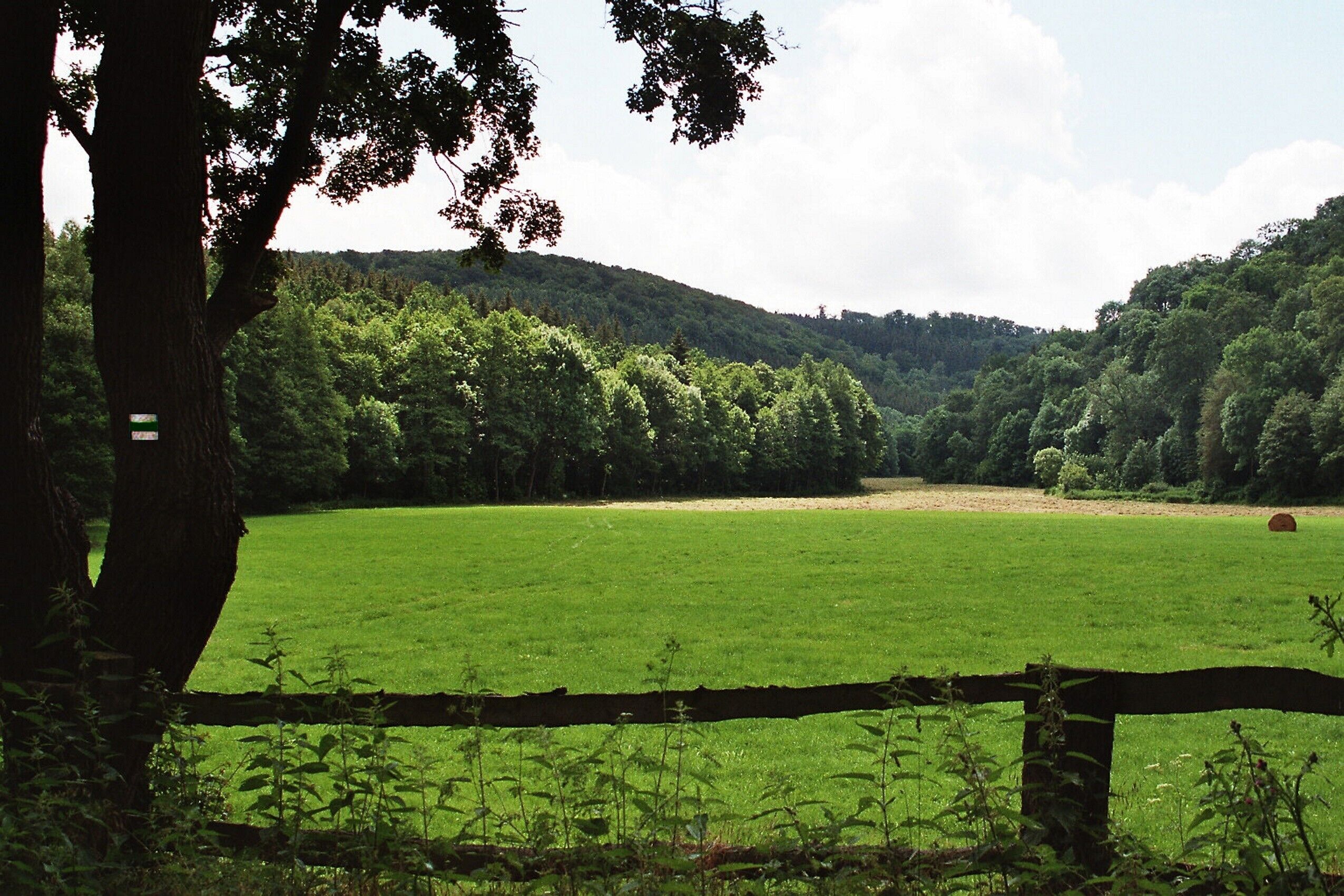 Rammelburg (Mansfeld), the valley of the Wipper