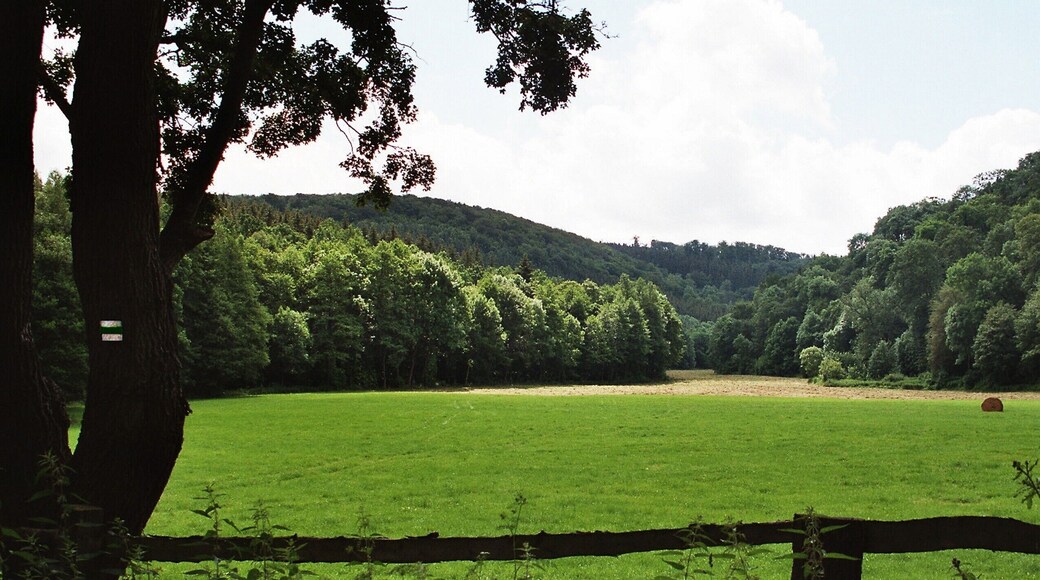 Rammelburg (Mansfeld), the valley of the Wipper