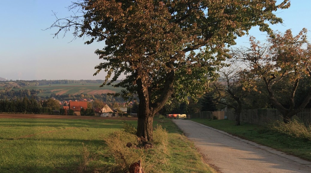 Blick auf Großörner und über das Wippertal dort von Süden