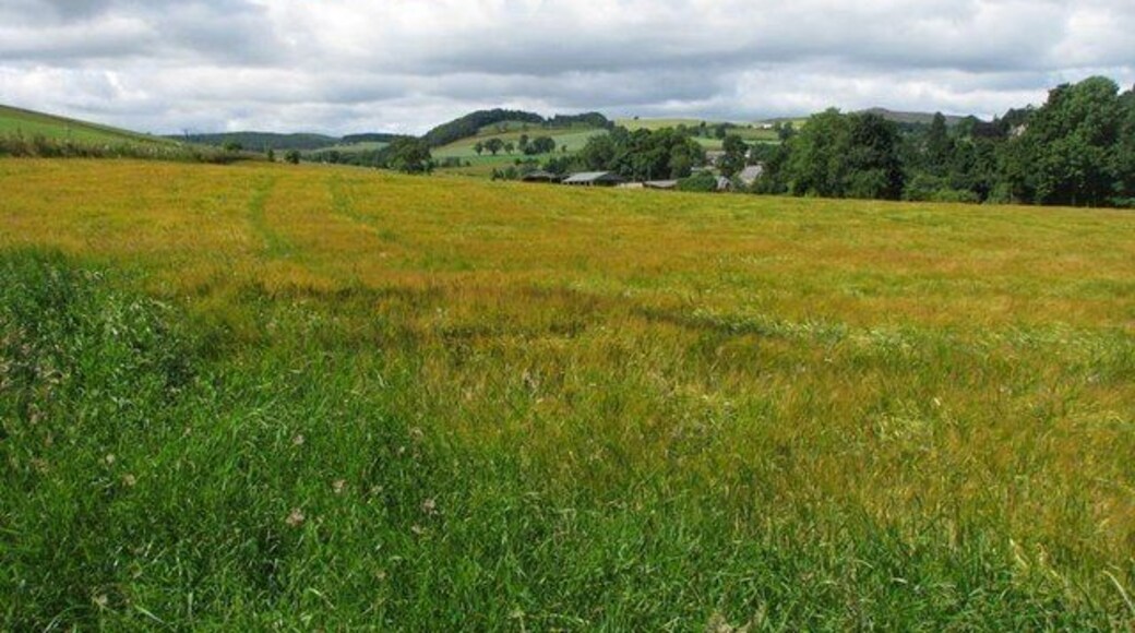 Grassy field immediately north-northwest of the Scottish Arts and Antique Centre