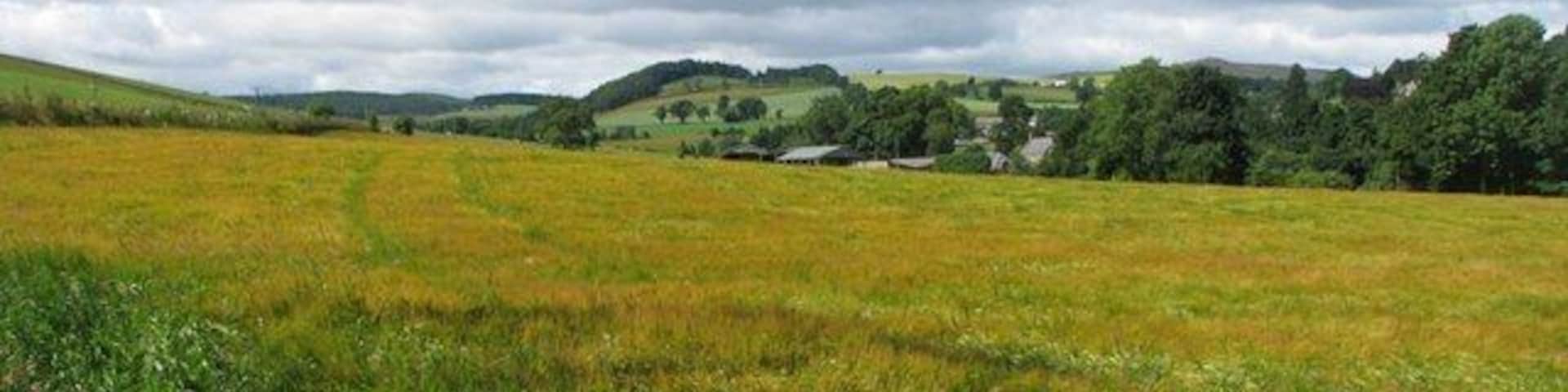 Grassy field immediately north-northwest of the Scottish Arts and Antique Centre