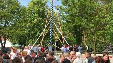 1st of May: Erecting the „Maibaum“ by the members of the fire brigade - all by handicraft.
