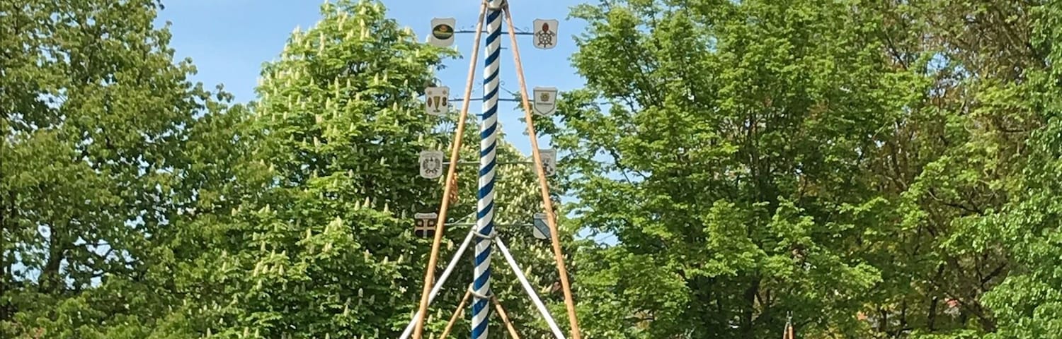1st of May: Erecting the „Maibaum“ by the members of the fire brigade - all by handicraft.