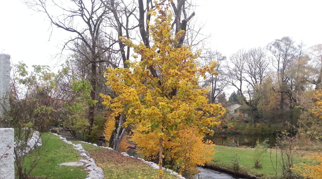 Würm in Krailling im November