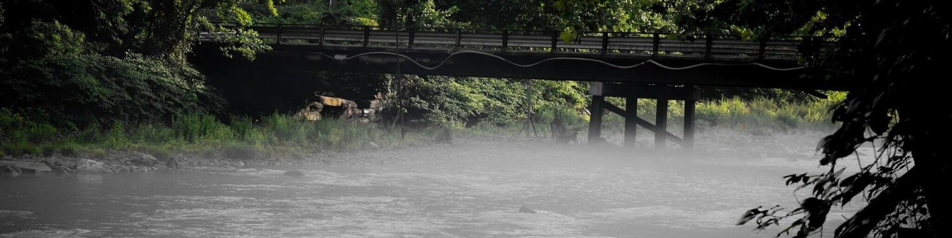 View from one of the creek sites