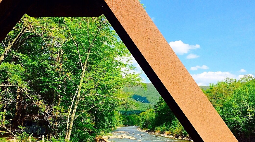 Fishing off the bridge, what a beautiful day!
#waterlust