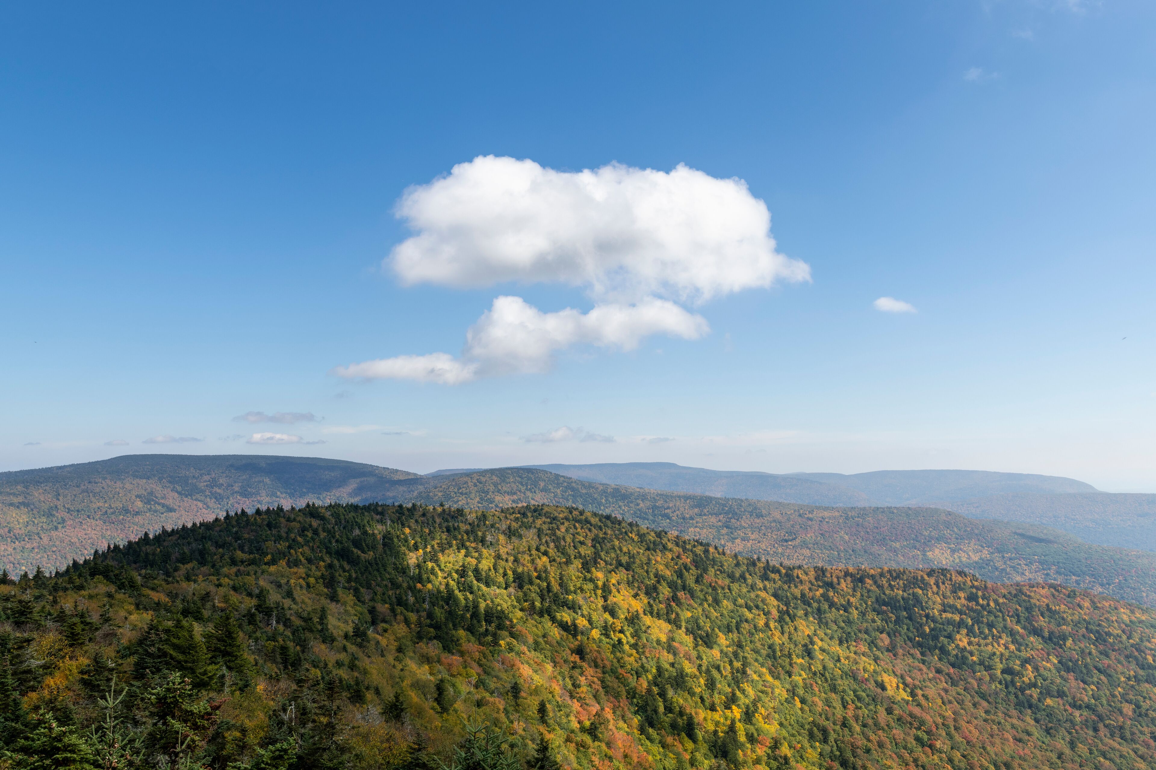 Puffy White Cloud Over a Catskill Mountain in Autumn