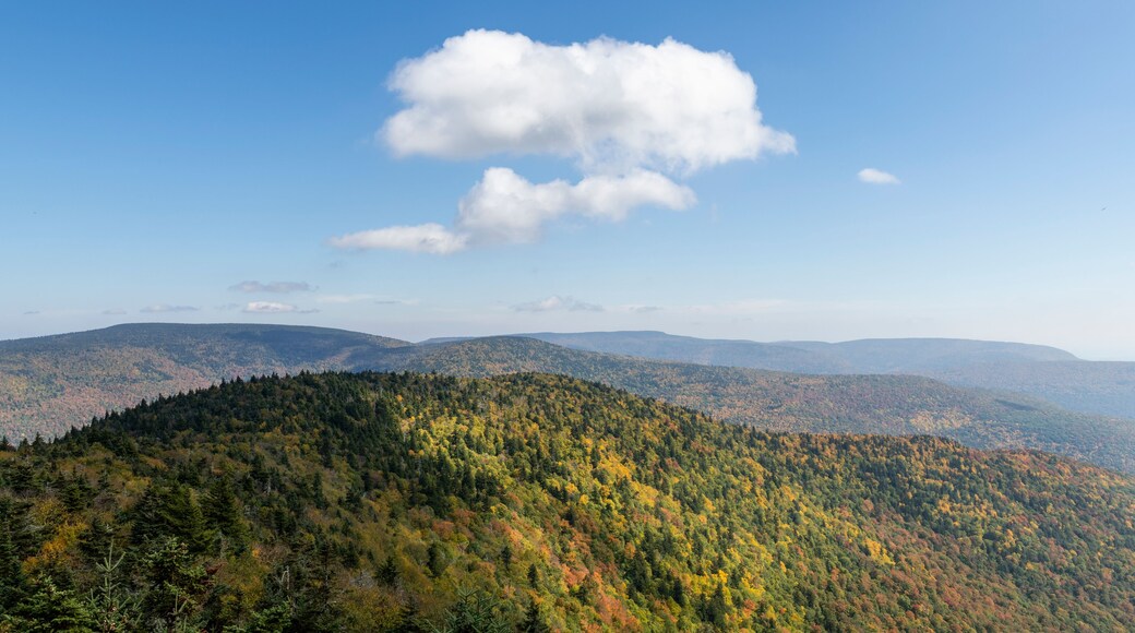 Puffy White Cloud Over a Catskill Mountain in Autumn