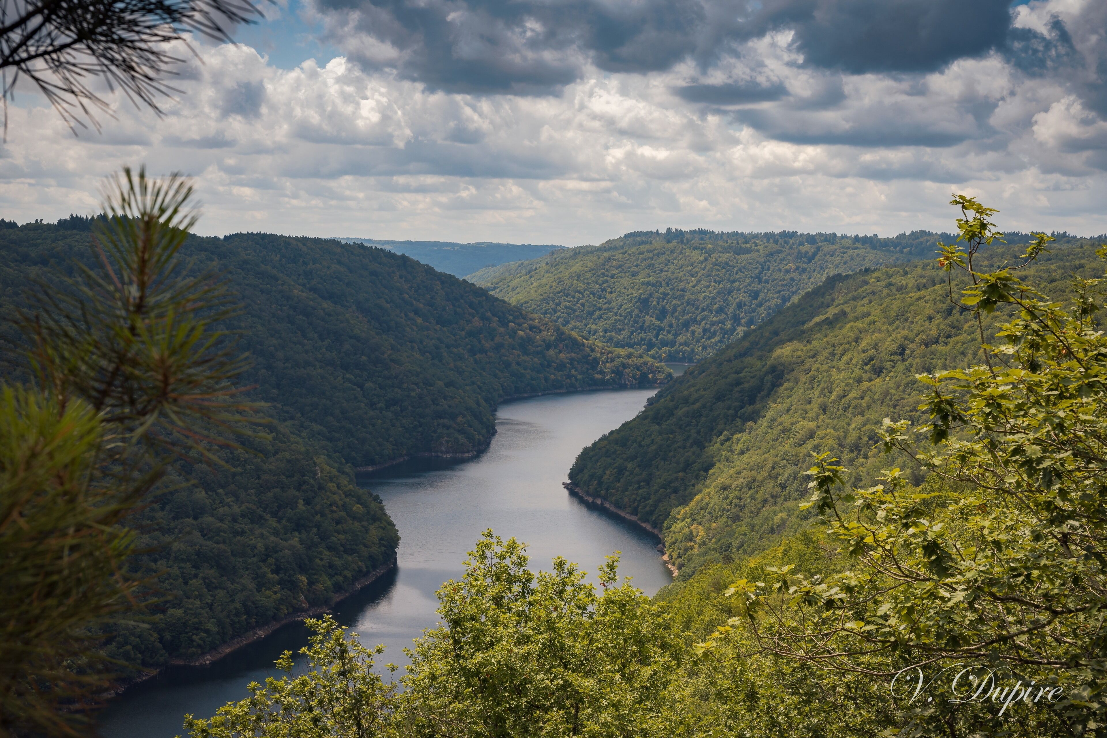 A river winding through a forested valley with hills on either side.