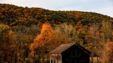 Sharon Ct, USA Fall foliage and autumn colors.