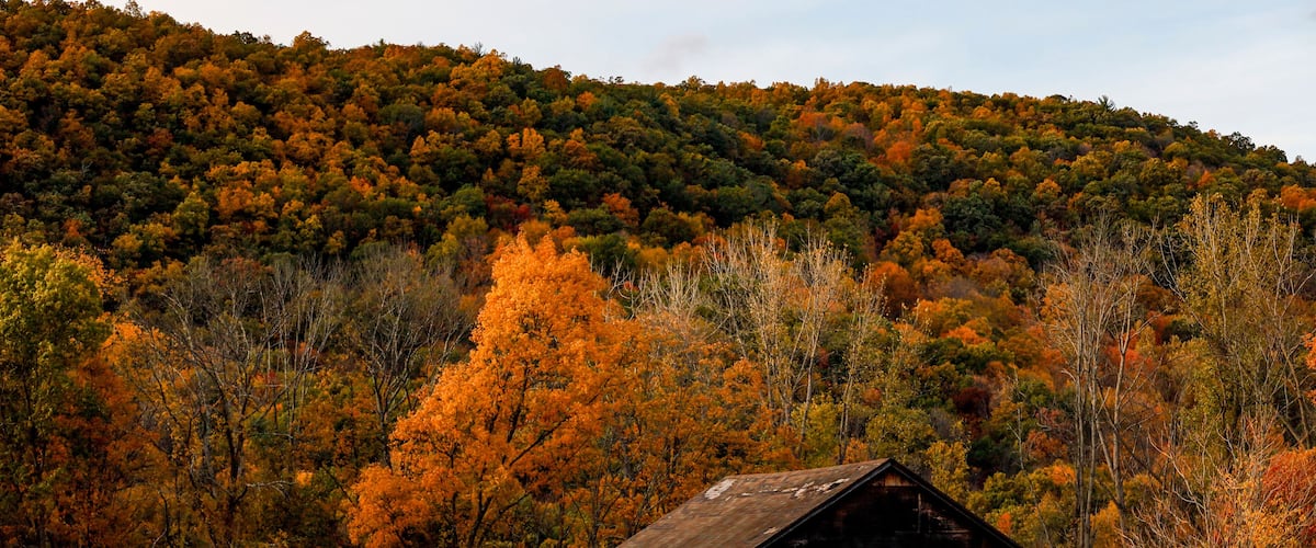 Sharon Ct, USA Fall foliage and autumn colors.