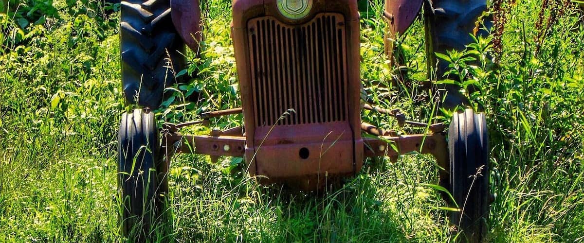 A vintage tractor in a field with tall grass and weeds.