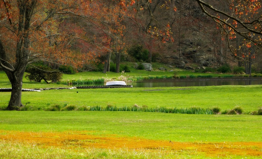 The Spring bloom creates a colorful scene.