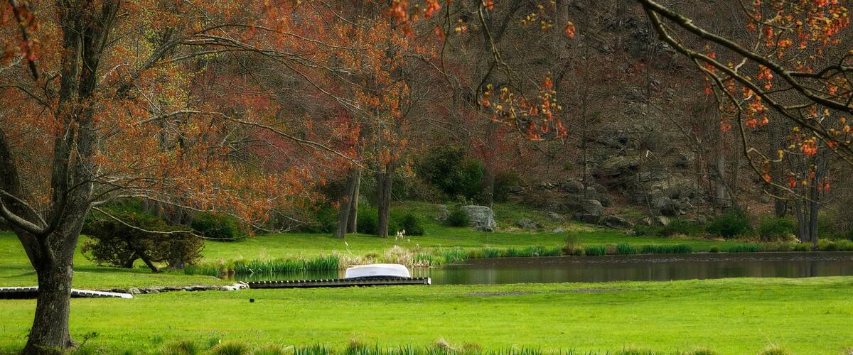 A serene park with a pond, a small boat, and autumn-colored trees.