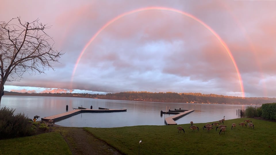 A lake with a rainbow, a dock, and grazing geese.