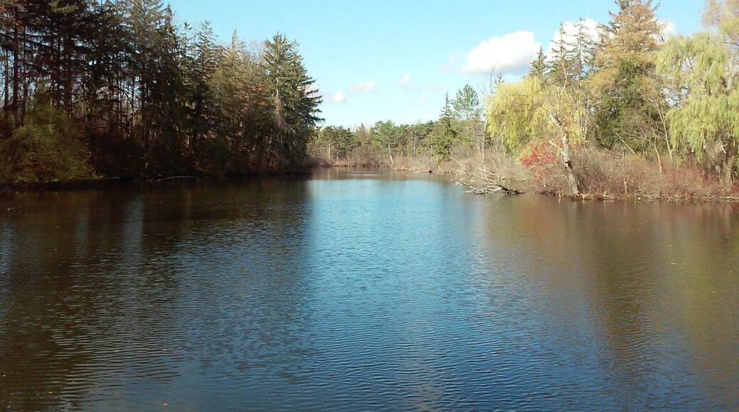 Bond Lake County Park