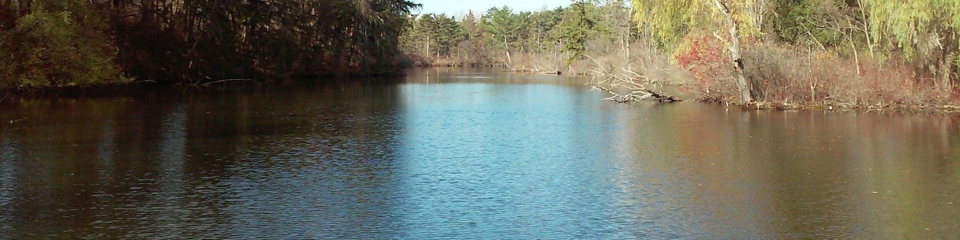 Bond Lake County Park