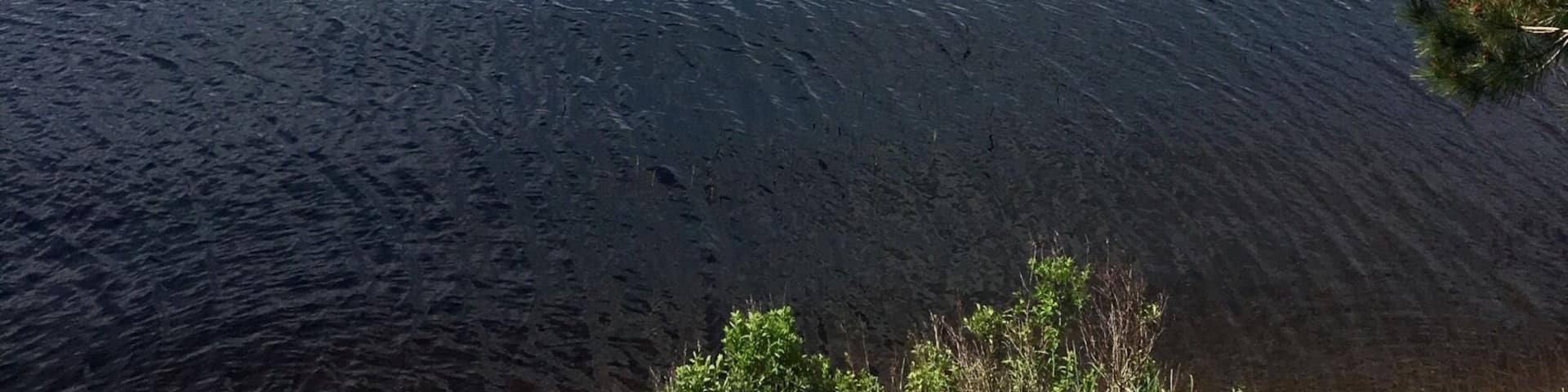 Peaceful views of the mountains in the back