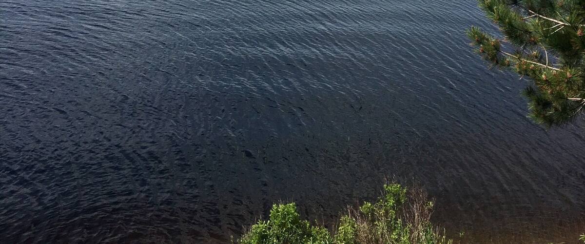 Peaceful views of the mountains in the back